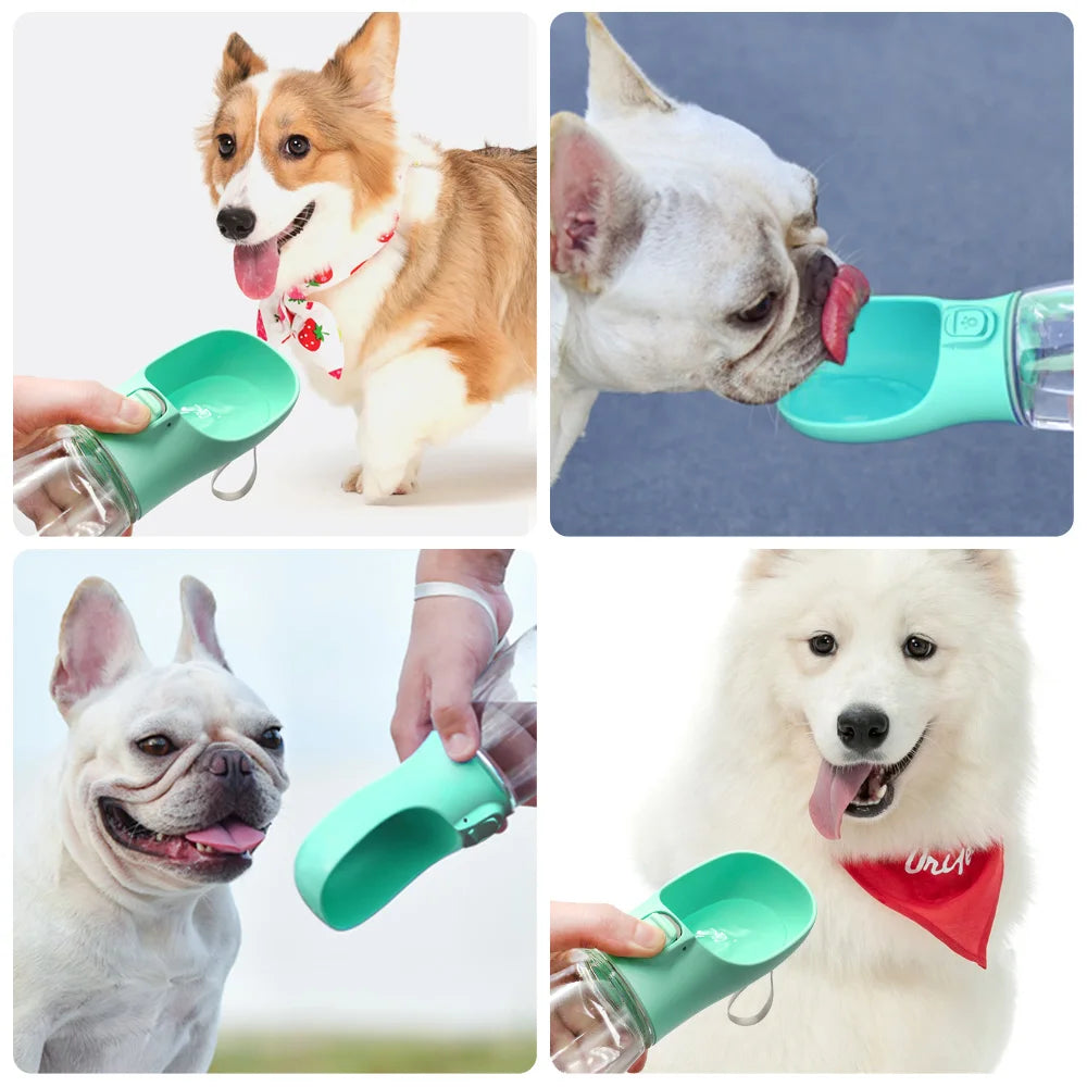 Travel-Friendly Pet Water Bottle