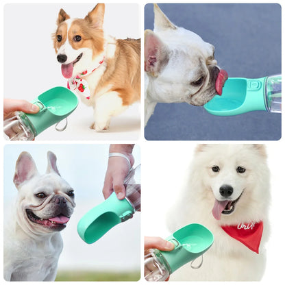 Travel-Friendly Pet Water Bottle